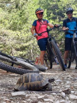 e-bike-tours_ipsarion-peak-day_07