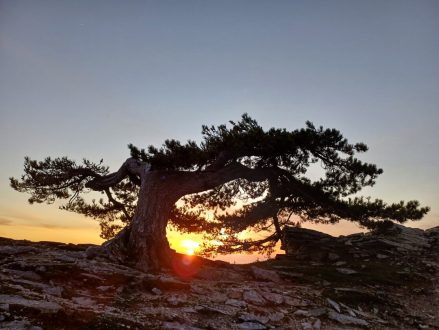 e-bike-tours_ipsarion-peak-day_18