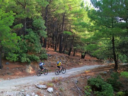 e-bike-tours_two-peaks-tour_27