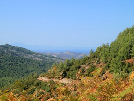 e-bike-tours_two-peaks-tour_37