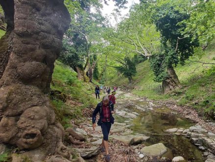 the-grand-ipsarion-hike_4