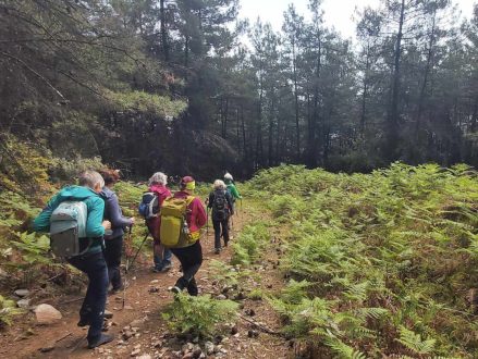 the-grand-ipsarion-hike_6